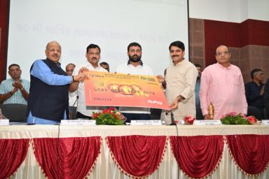 SUR_5651-Large-Small